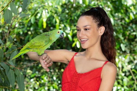 Kuranda Wildlife Experience Three Attraction Pass - Accommodation Gold Coast 1