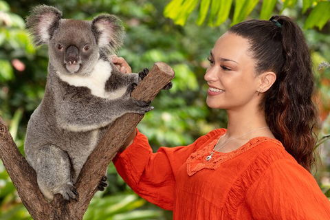 Kuranda Wildlife Experience Three Attraction Pass - Accommodation Gold Coast 4