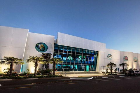 Cairns Aquarium Admission Ticket - Accommodation Gold Coast 4