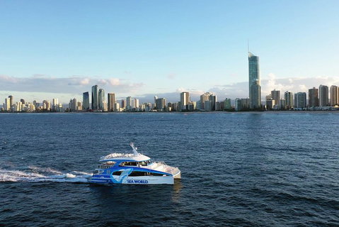 Whale Watching By Sea World Cruises - Accommodation Gold Coast 1