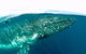 Whale Watching By Sea World Cruises - thumb 2