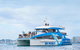 Whale Watching By Sea World Cruises - thumb 3