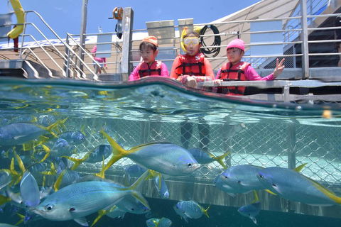 Outer Reef Pontoon Experience From Cairns - Accommodation Gold Coast 0