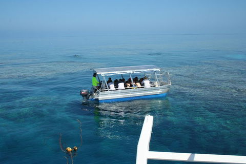 Seastar Luxury Outer Great Barrier Reef Island And Reef Tour From Cairns - Accommodation Gold Coast 5
