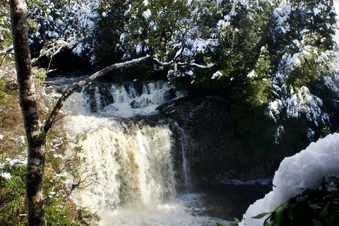 Cradle Mountain Park Explorer Guided Tour - Accommodation Gold Coast 4