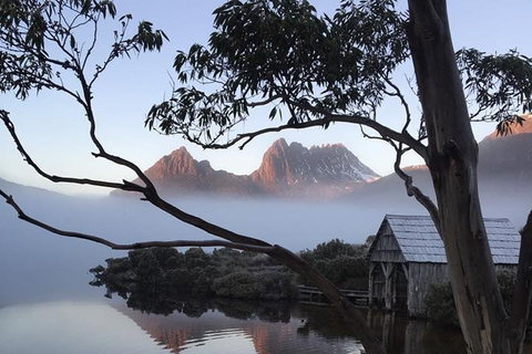 Cradle Mountain Park Explorer Guided Tour - Accommodation Gold Coast 5