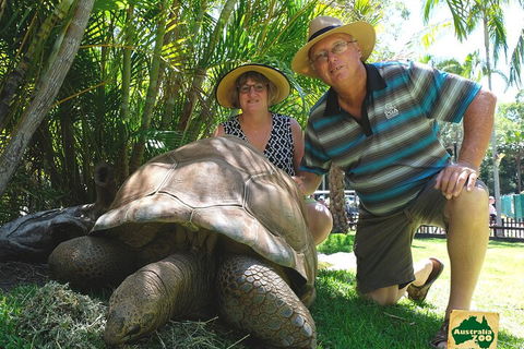 Small-Group Australia Zoo Day Trip From Brisbane - Accommodation Gold Coast 1