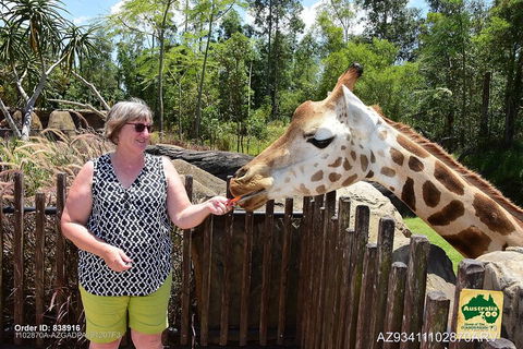 Small-Group Australia Zoo Day Trip From Brisbane - Accommodation Gold Coast 2
