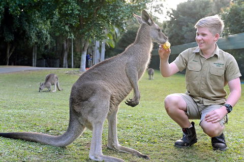 Small-Group Australia Zoo Day Trip From Brisbane - Accommodation Gold Coast 4