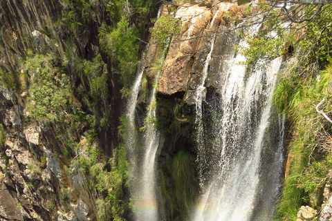Beyond Byron Hinterland Tour - Accommodation Gold Coast 5