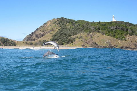 Kayaking With Dolphins In Byron Bay Guided Tour - Accommodation Gold Coast 0