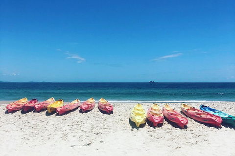 Kayaking With Dolphins In Byron Bay Guided Tour - Accommodation Gold Coast 1