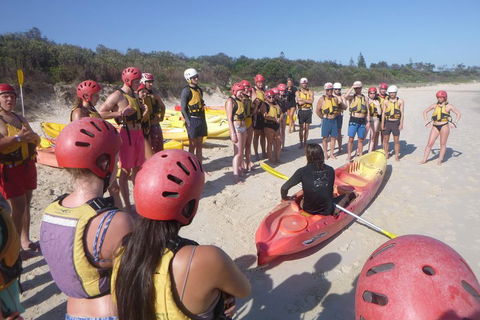 Kayaking With Dolphins In Byron Bay Guided Tour - Accommodation Gold Coast 2