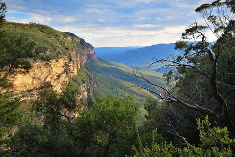 Blue Mountains Day Tour With Wildlife At Sunset From Sydney - Accommodation Gold Coast 5