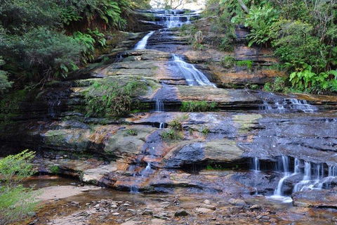 Blue Mountains Day Trip From Sydney With Amazing Lookouts (Private Tour) - Accommodation Gold Coast 4