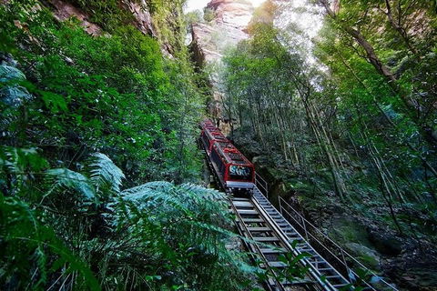 Blue Mountains Private Tour With Kangaroos & Koala Encounter - Accommodation Gold Coast 1