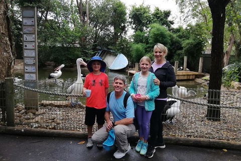 Blue Mountains Private Tour With Kangaroos & Koala Encounter - Accommodation Gold Coast 4