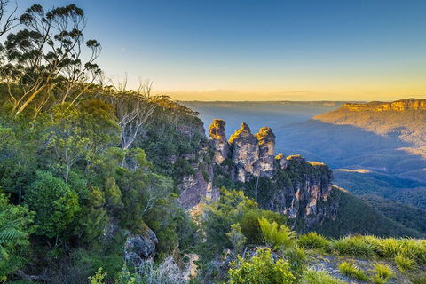 Blue Mountains Private Tour With Kangaroos & Koala Encounter - Accommodation Gold Coast 5