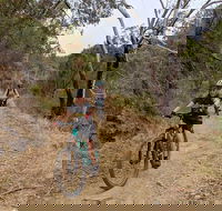 Mount Lofty Descent Bike Tour from Adelaide - Accommodation Gold Coast