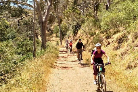 Mount Lofty Descent Bike Tour From Adelaide - Accommodation Gold Coast 3