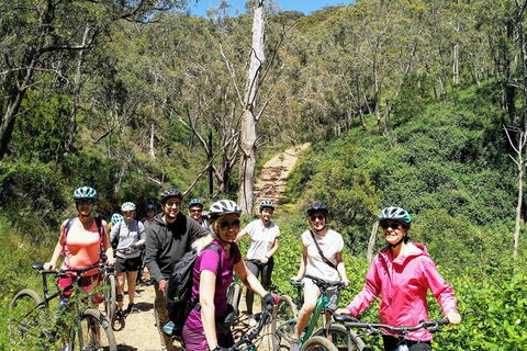 Mount Lofty Descent Bike Tour From Adelaide - Accommodation Gold Coast 5