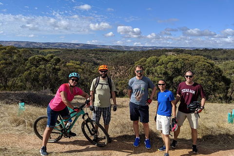 McLaren Vale Wine Tour By Bike - Accommodation Gold Coast 0