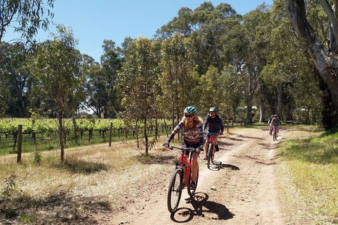 McLaren Vale Wine Tour By Bike - Accommodation Gold Coast 1