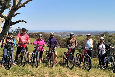 McLaren Vale Wine Tour By Bike - Accommodation Gold Coast 2