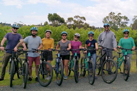 McLaren Vale Wine Tour By Bike - Accommodation Gold Coast 4