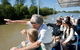 Lone Pine Koala Sanctuary Admission With Brisbane River Cruise - thumb 1
