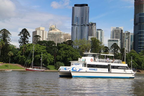 Lone Pine Koala Sanctuary Admission With Brisbane River Cruise - Accommodation Gold Coast 2