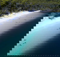 All-Inclusive Fraser Island Day Tour - Accommodation Gold Coast