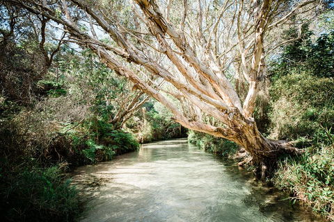 3-Day Fraser Island Resort Package - Accommodation Gold Coast 5