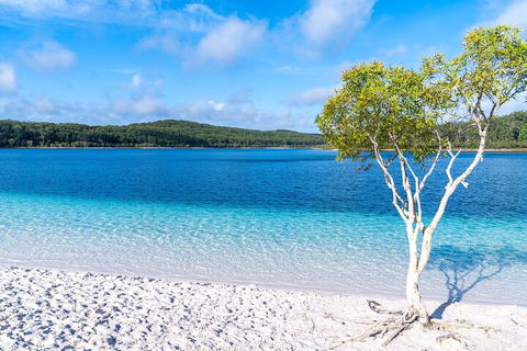 Lake McKenzie Full-Day Tour With Lunch From Hervey Bay - Accommodation Gold Coast 1