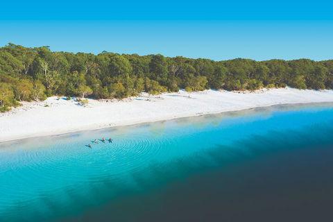Lake McKenzie Full-Day Tour With Lunch From Hervey Bay - Accommodation Gold Coast 4