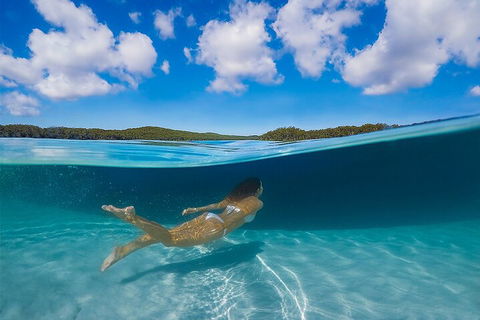 Lake McKenzie Full-Day Tour With Lunch From Hervey Bay - Accommodation Gold Coast 5