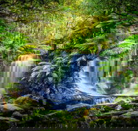 Day Tour in Mt. Field Mt. Wellington Bonorong Wildlife Sanctuary and Richmond - Accommodation Gold Coast
