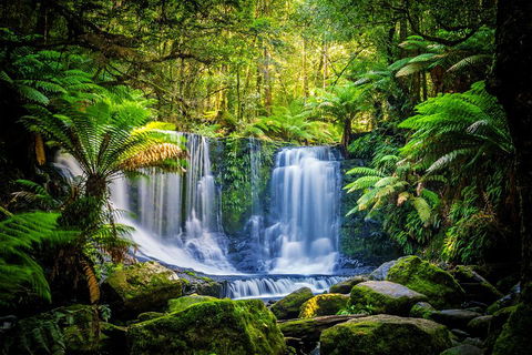 Day Tour In Mt. Field, Mt. Wellington, Bonorong Wildlife Sanctuary And Richmond - Accommodation Gold Coast 0