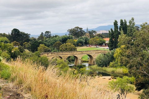 Day Tour In Mt. Field, Mt. Wellington, Bonorong Wildlife Sanctuary And Richmond - Accommodation Gold Coast 3