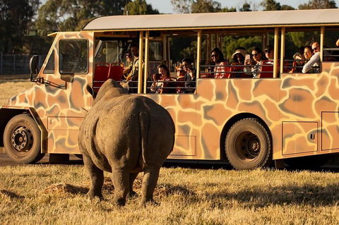 Sunset Safari At Werribee Open Range Zoo - Accommodation Gold Coast 5