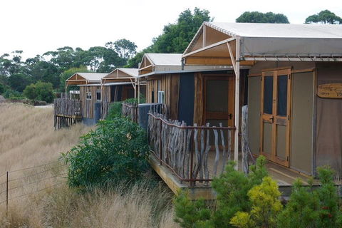 Slumber Safari At Werribee Open Range Zoo - Accommodation Gold Coast 4