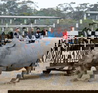 Off-Road Safari at Werribee Open Range Zoo - Accommodation Gold Coast