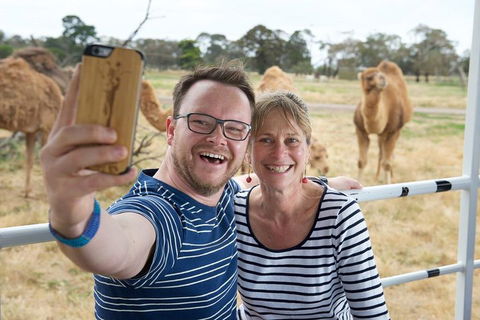 Off-Road Safari At Werribee Open Range Zoo - Accommodation Gold Coast 1