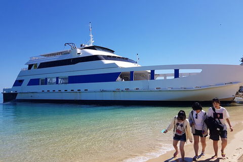 Moreton Island Day Trip (Kayak, Snorkel & Sandboard) Frm Brisbane Or Gold Coast - Gold Coast 4U 0