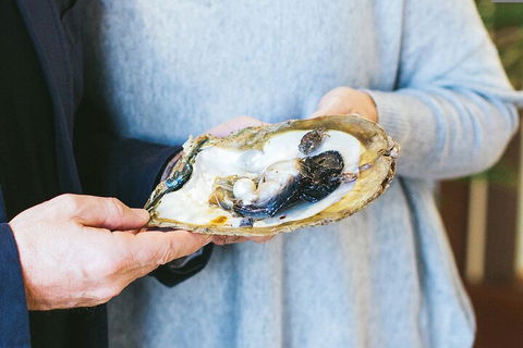 Half-Day Willie Creek Pearl Farm Tour With Helicopter Flight - Accommodation Gold Coast 3