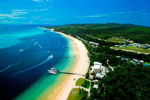 Tangalooma Island Resort Whale Watching Day Cruise - Accommodation Gold Coast 2