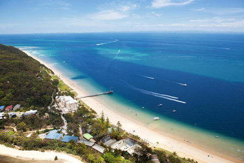 Tangalooma Island Resort Whale Watching Day Cruise - Accommodation Gold Coast 3