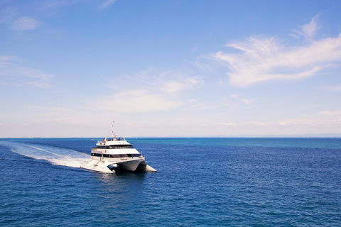 Tangalooma Island Resort Whale Watching Day Cruise - Accommodation Gold Coast 5