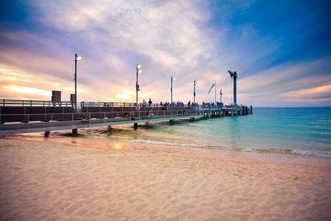 Tangalooma Island Resort Whale Watching Day Cruise With Dolphin Viewing - Accommodation Gold Coast 3