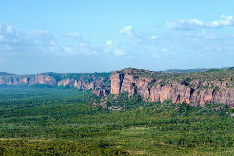 Jabiru 60 Minute Scenic Flight - Accommodation Gold Coast 4